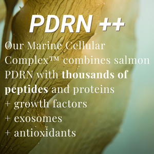 Ultra Renew PDRN Serum